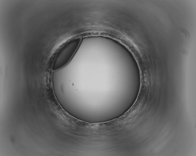 X0000112771352200908201458