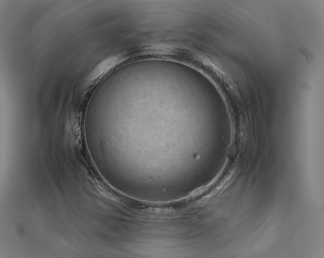 X0000112771354200908201458