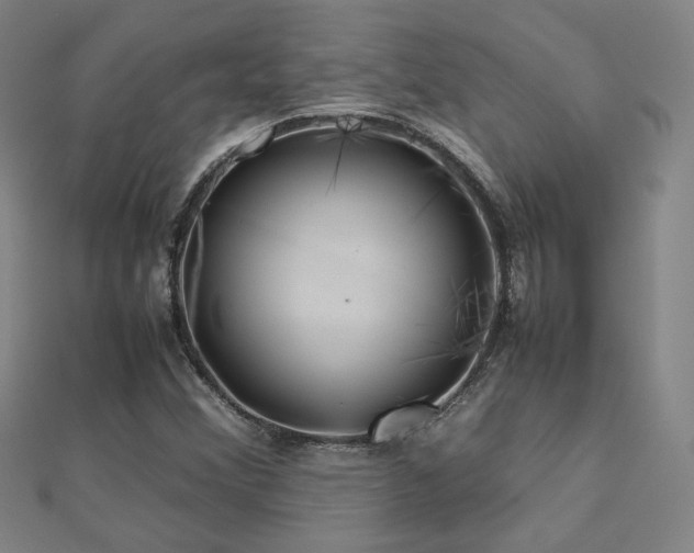 X0000112771356200908201458
