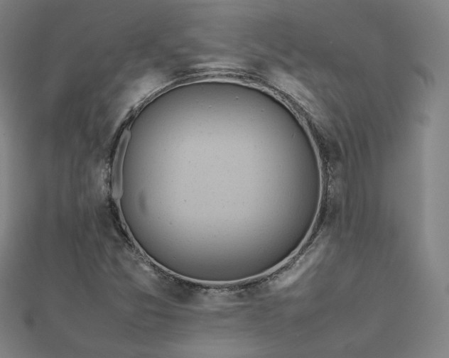 X0000112771357200908201458