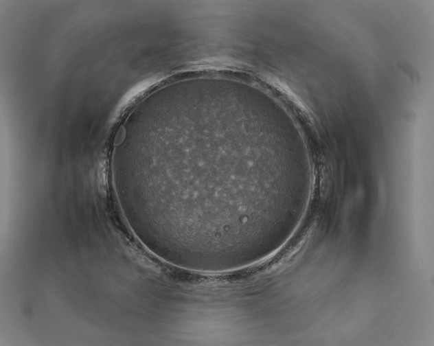 X0000112771358200908201458