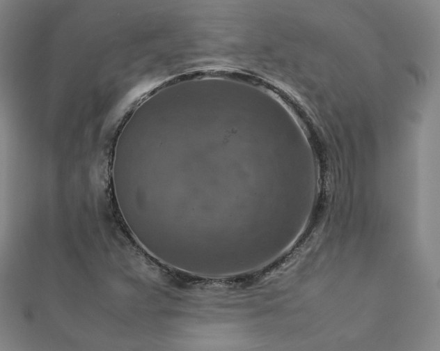X0000112771359200908201458