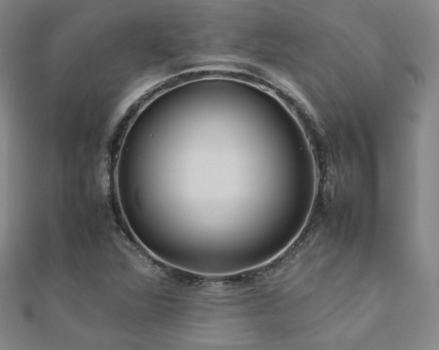 X0000112771360200908201458