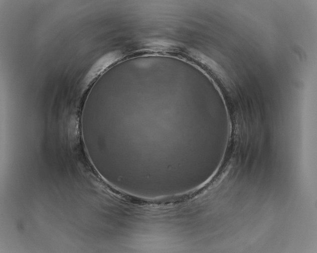 X0000112771362200908201458