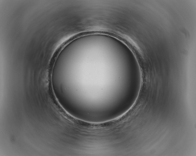 X0000112771364200908201458