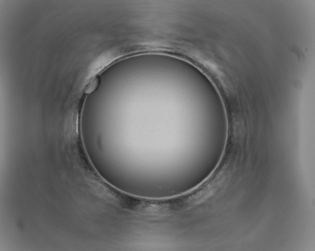 X0000112771365200908201458