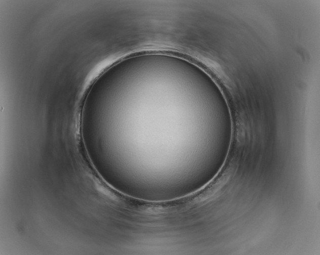 X0000112771366200908201458