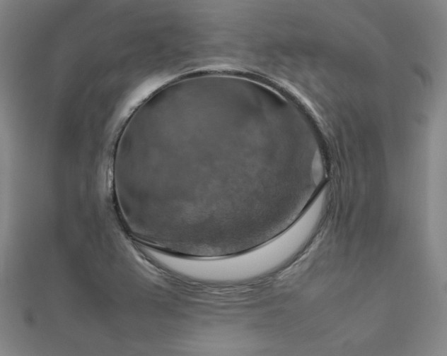 X0000112771367200908201458
