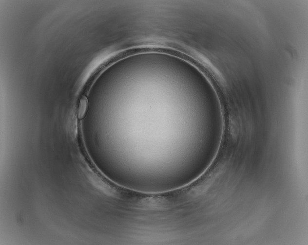 X0000112771368200908201458