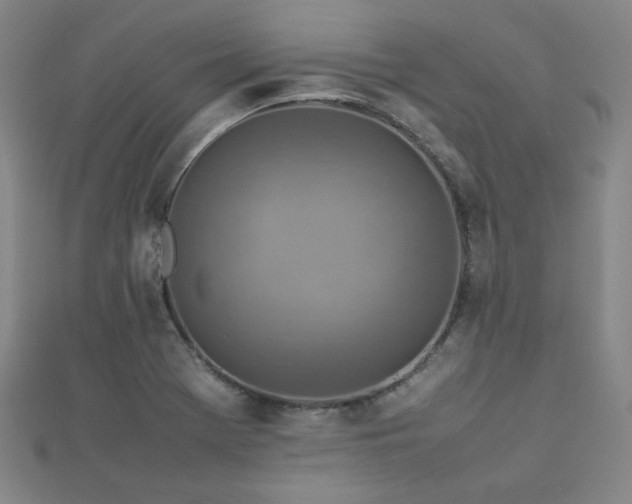 X0000112771369200908201458