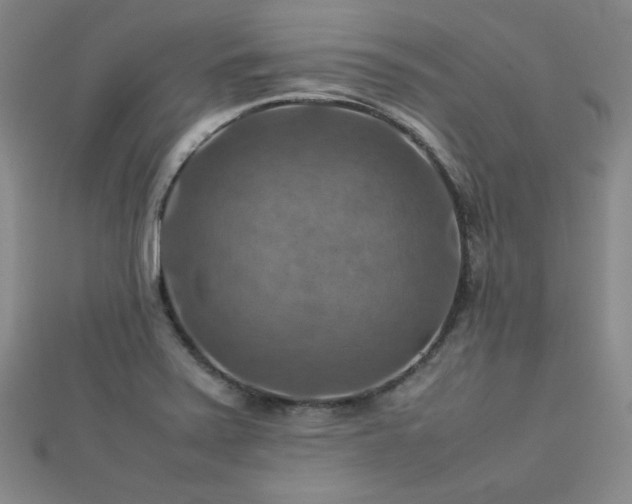X0000112771371200908201458