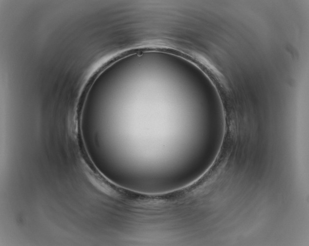 X0000112771372200908201458