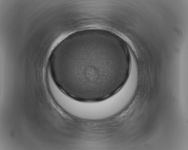 X0000112771373200908201458