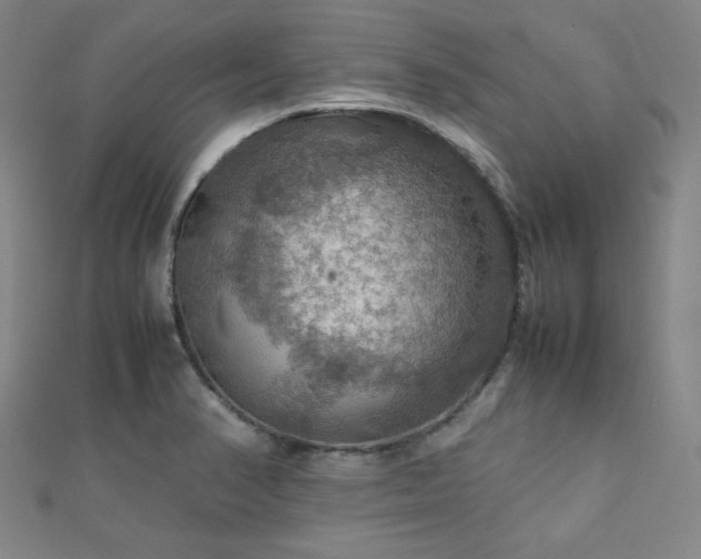 X0000112771374200908201457