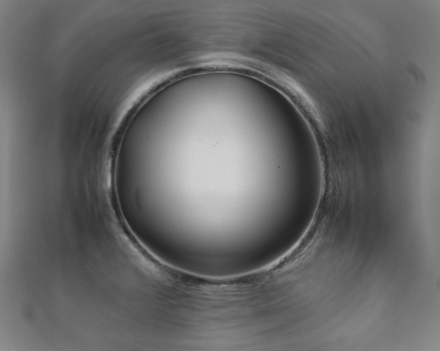 X0000112771376200908201457