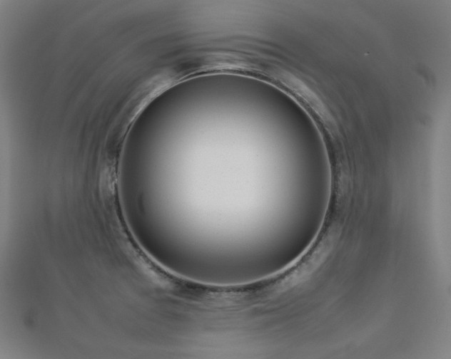 X0000112771377200908201457