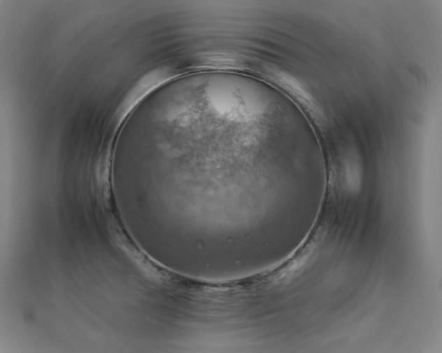 X0000112771378200908201457