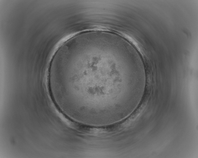 X0000112771379200908201457