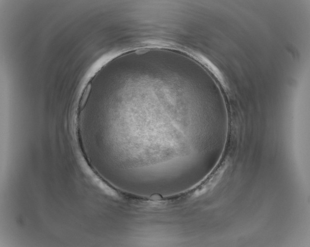 X0000112771381200908201457