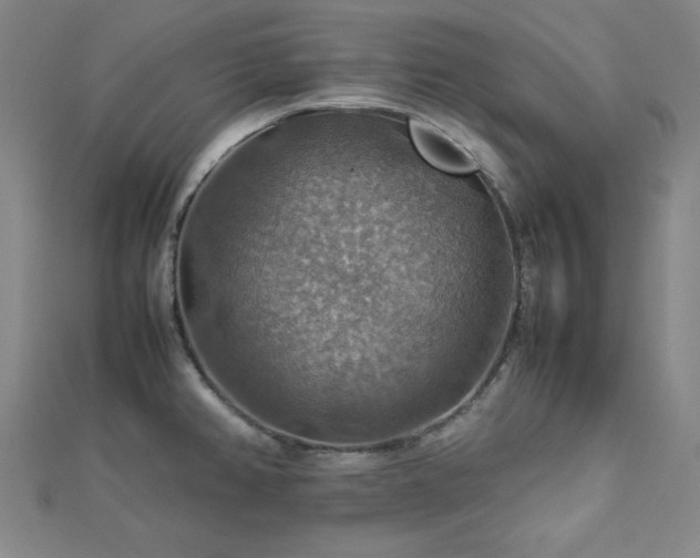 X0000112771382200908201457