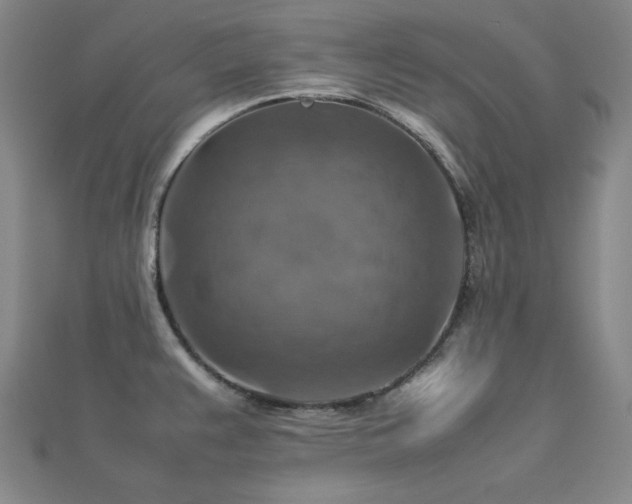 X0000112771383200908201457