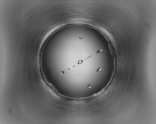 X0000112771384200908201457