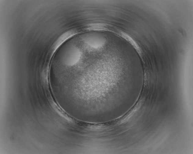 X0000112771386200908201457