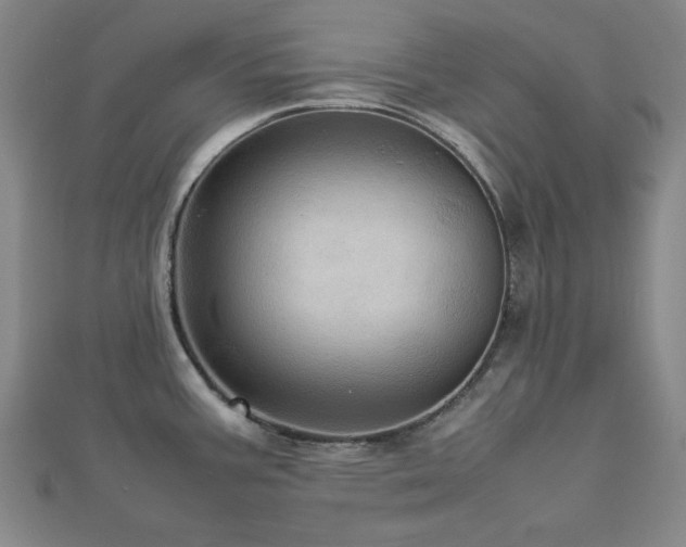 X0000112771387200908201457