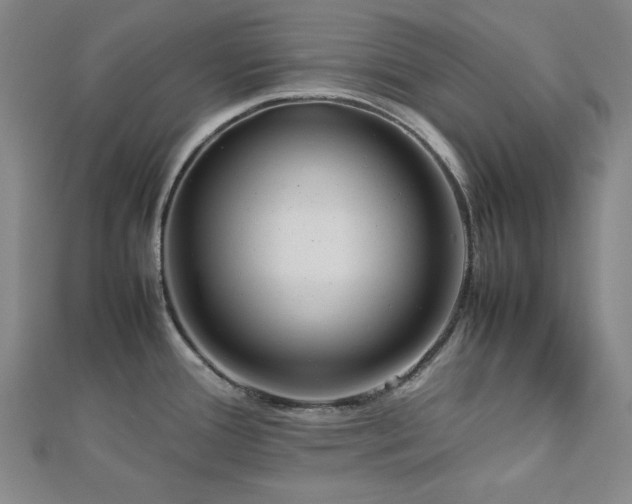 X0000112771388200908201457