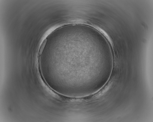 X0000112771389200908201457