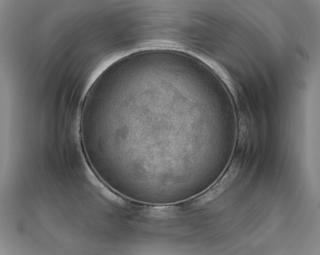 X0000112771390200908201457