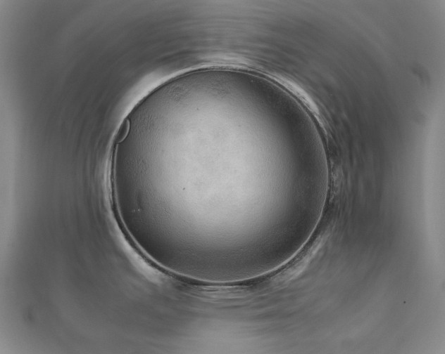 X0000112771391200908201457