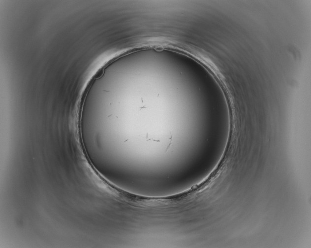 X0000112771392200908201457