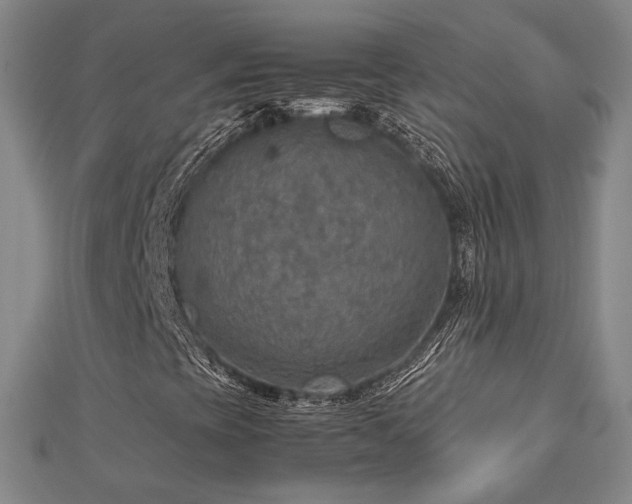 X0000112771393200908201457