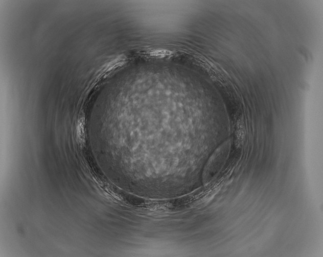 X0000112771394200908201457