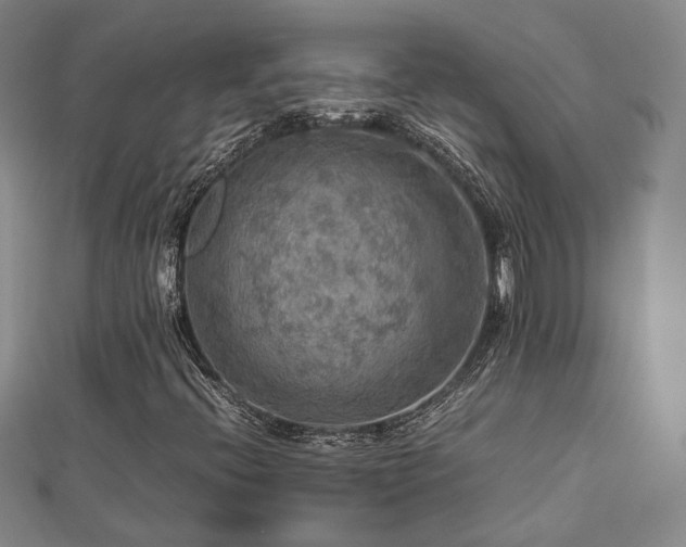 X0000112771396200908201457