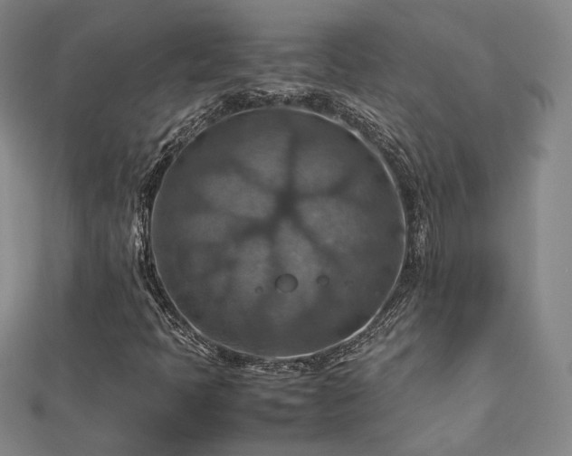X0000112771397200908201457