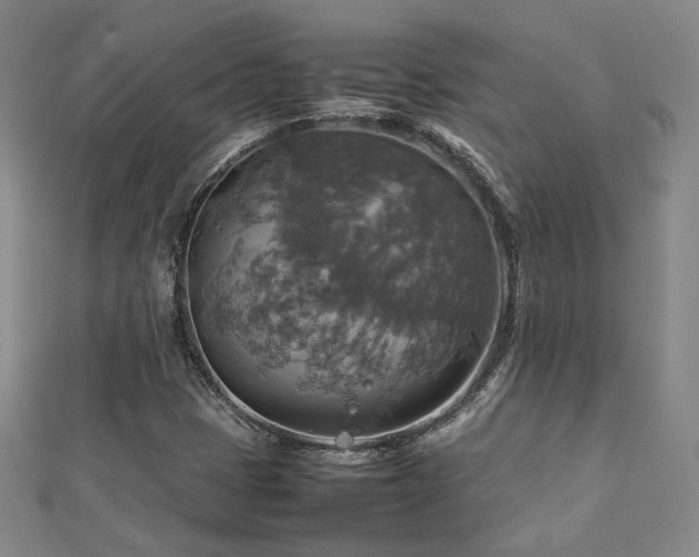 X0000112771401200908201457