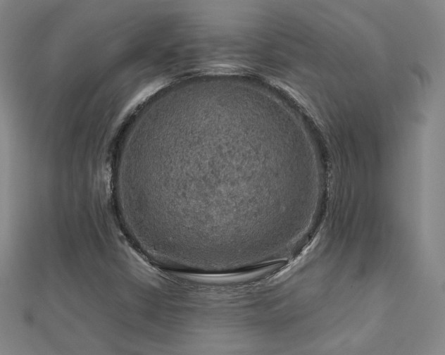 X0000112771402200908201457