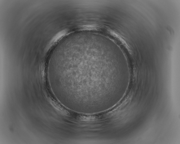 X0000112771403200908201457