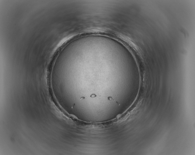 X0000112771404200908201457