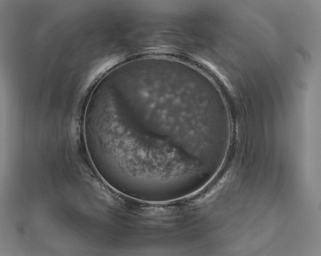 X0000112771405200908201457