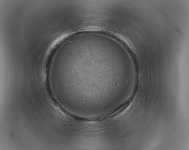X0000112771406200908201457