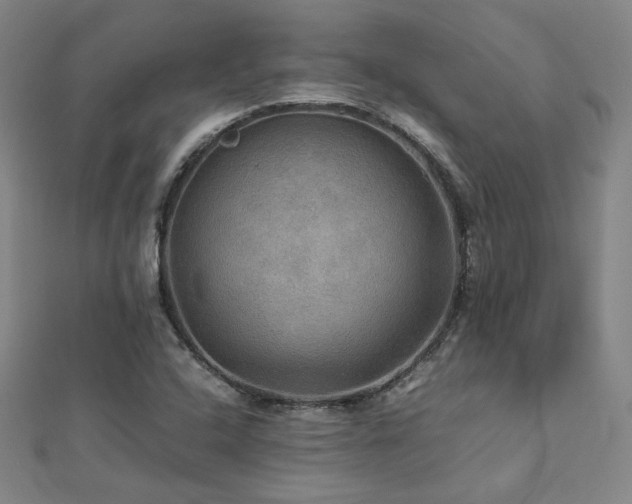 X0000112771408200908201457