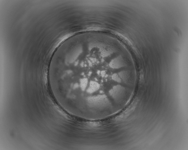 X0000112771409200908201457