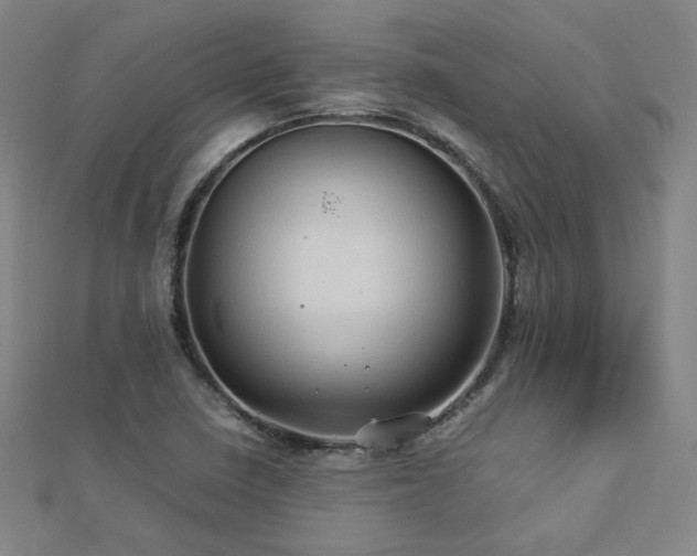 X0000112771410200908201457