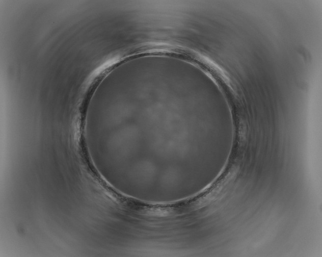X0000112771411200908201457