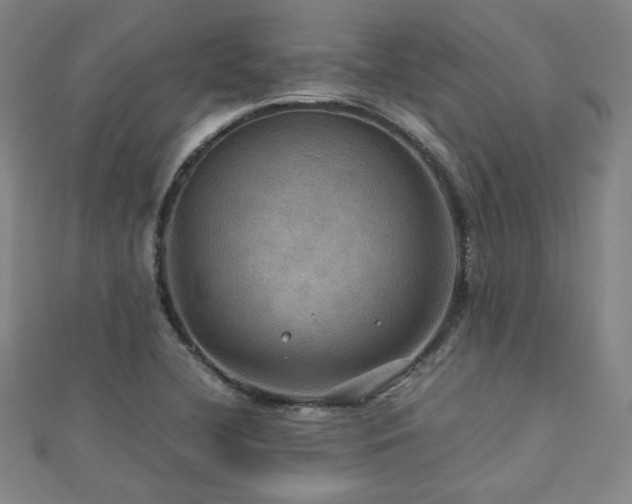X0000112771412200908201457