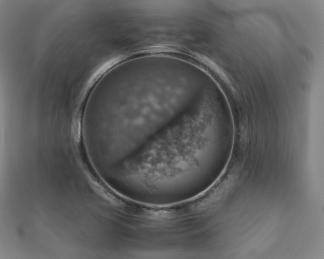 X0000112771413200908201457