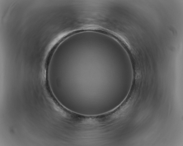 X0000112771414200908201457